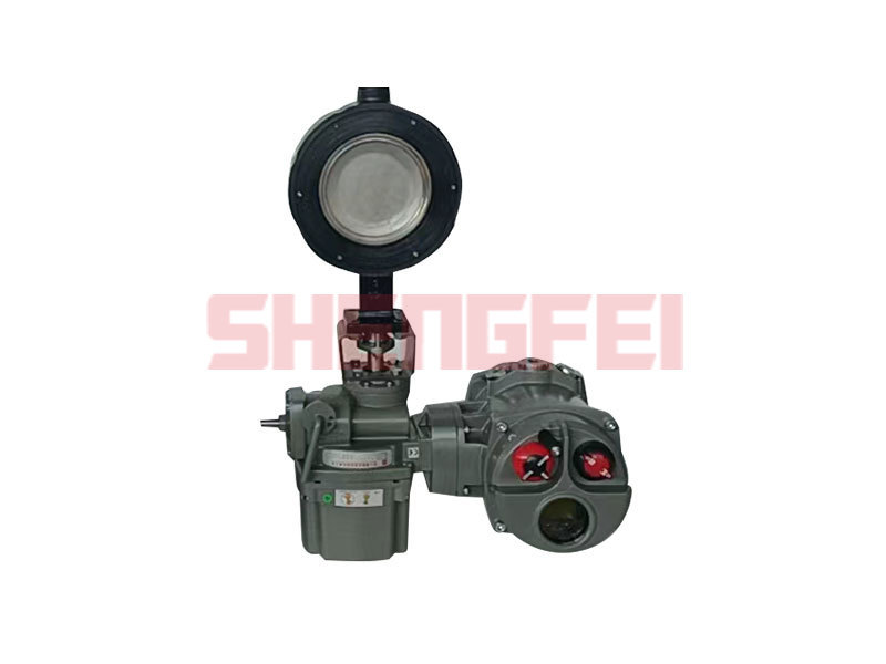 WCB Wafer RTFE Seated Double Offset High Performance Butterfly Valve