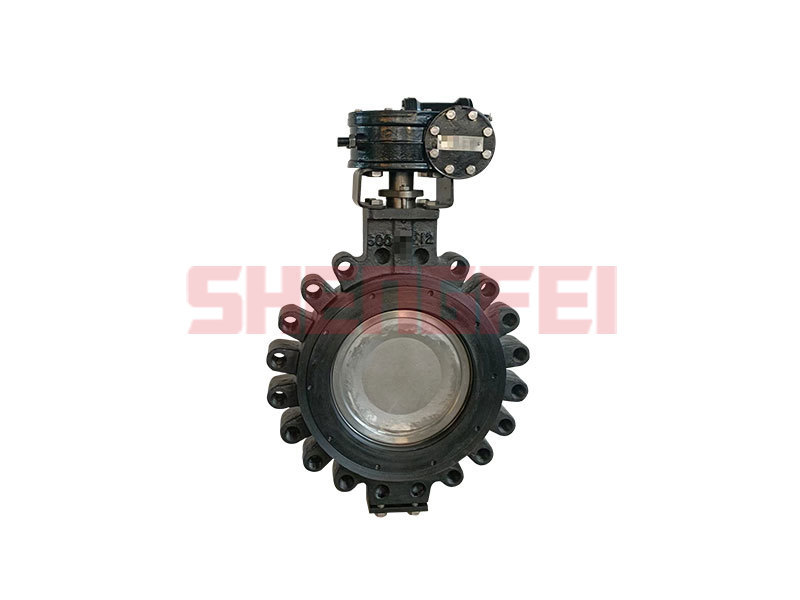 600LB Fire safe High Performance Butterfly Valve