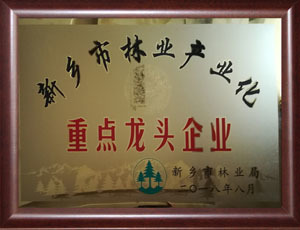 Xinxiang City Forestry Industrialization Key Leading Enterprises Xinxiang City Forestry Industrialization Key Leading Enterprises
