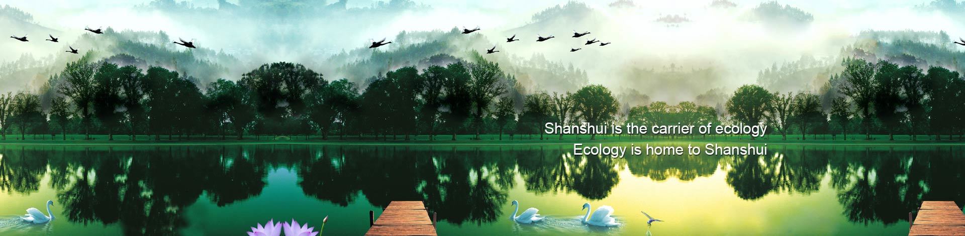 Shanshui Environmental
