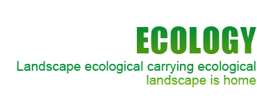 Shanshui Environmental 
