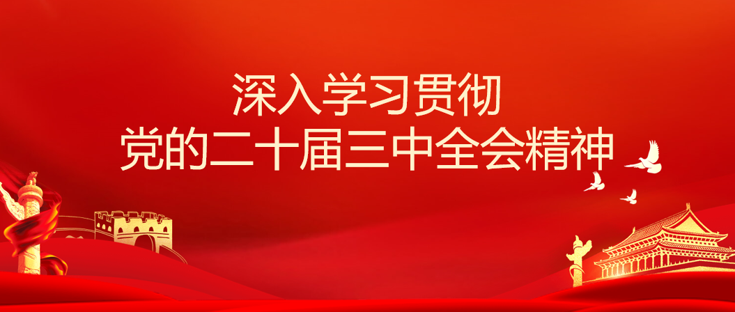 深入学习贯彻党的二十届三中全会精神