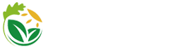 遠豐