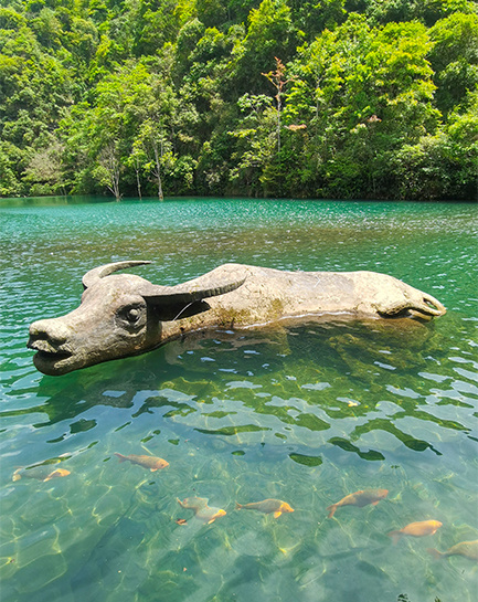 浴仙湖 浴仙湖