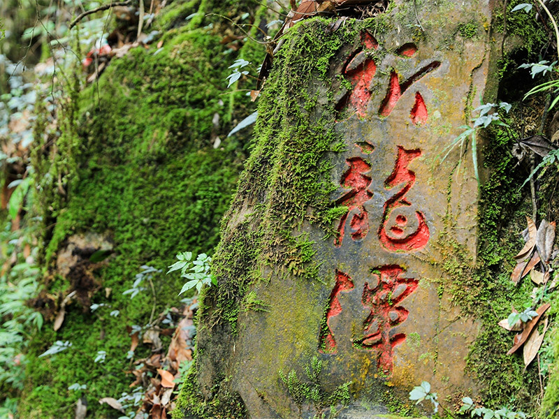 祈龙潭 祈龙潭