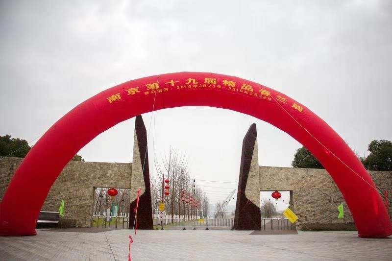 蕙质兰心隐芳华 盛世幽香在滨江 ——南京第十九届精品春兰展于河西滨江风光带青年文化公园盛大开展