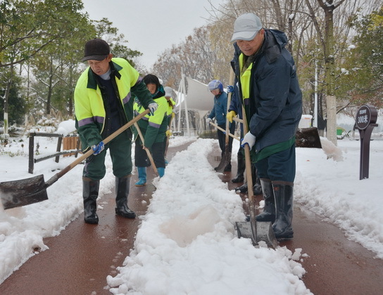 如约而至的瑞雪 风景如画的滨江