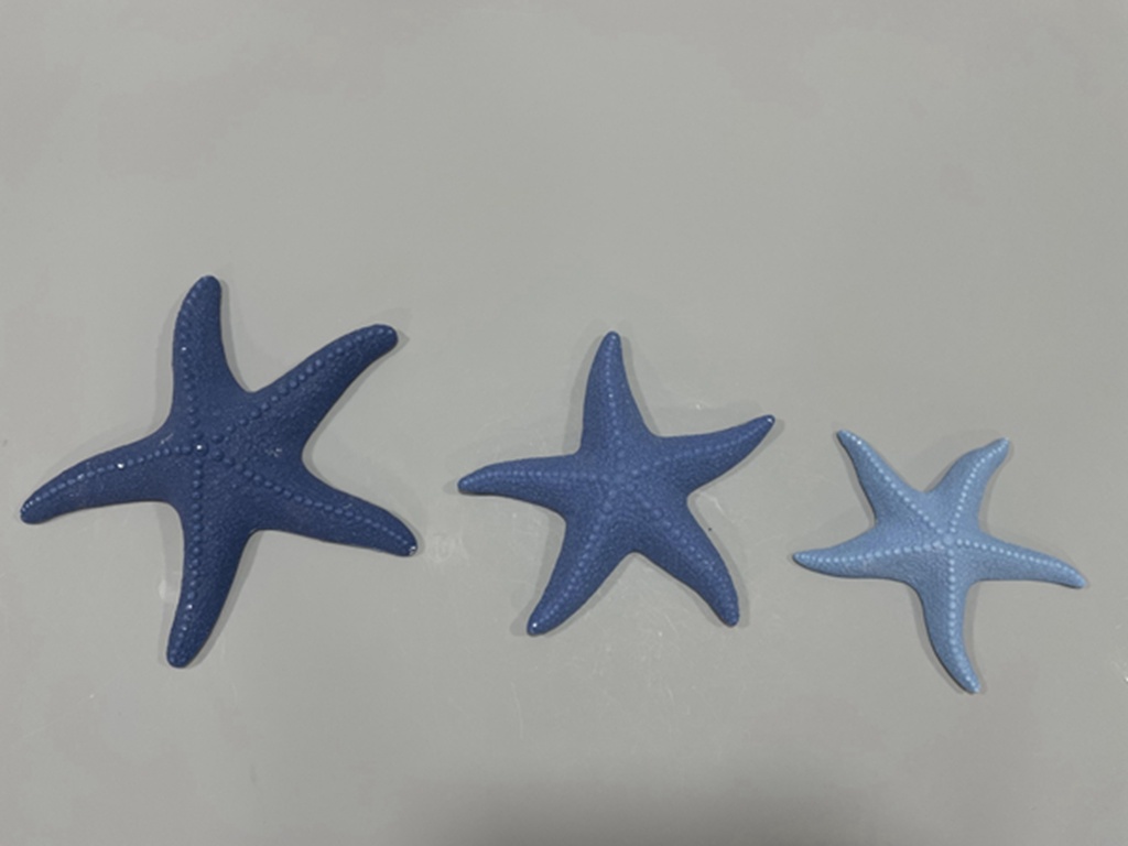 Ocean Decoration