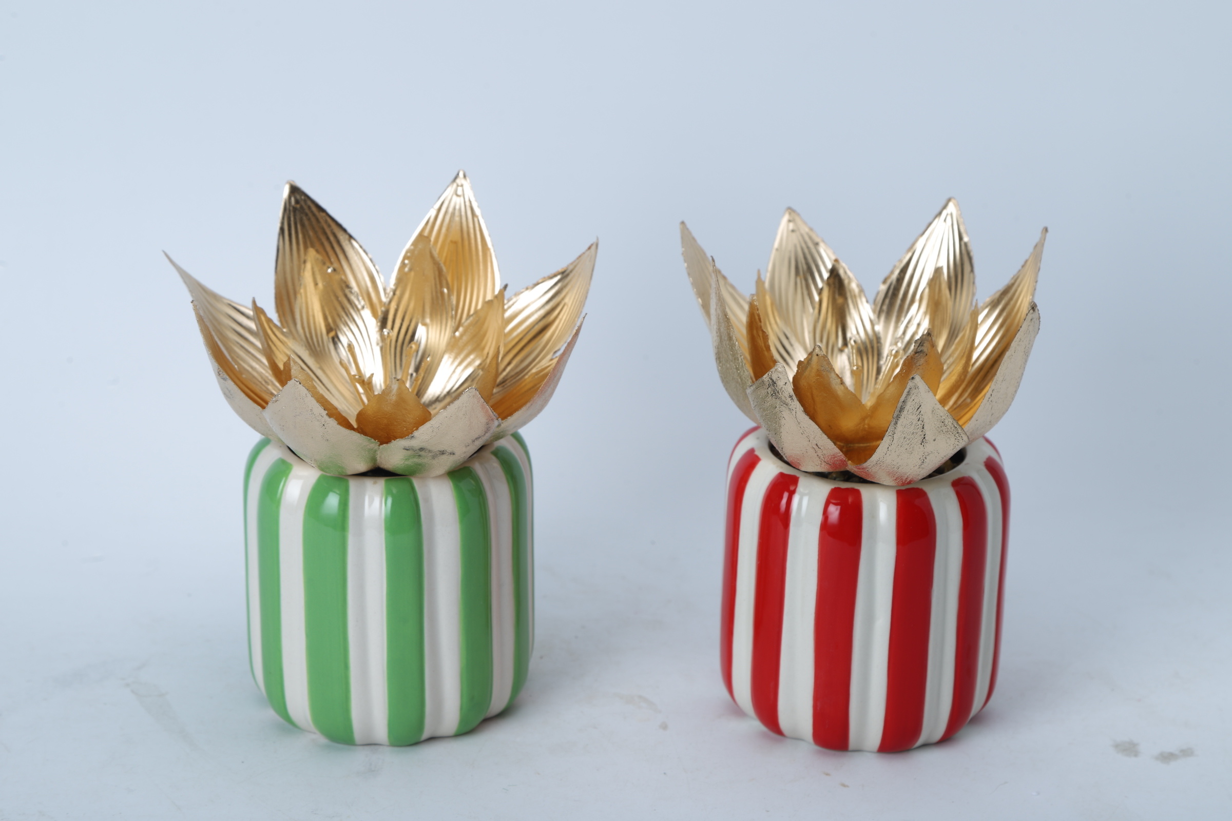 Christmas Decoration Plants