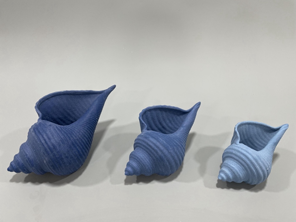 Ocean Decoration/home decoration