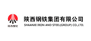 Shaanxi Iron and Steel Group Co., Ltd