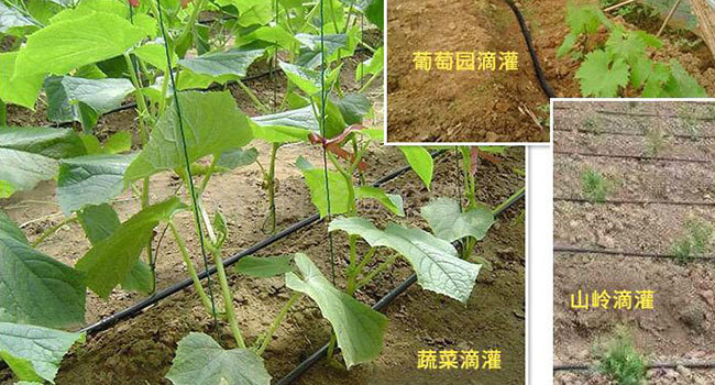 解決方案