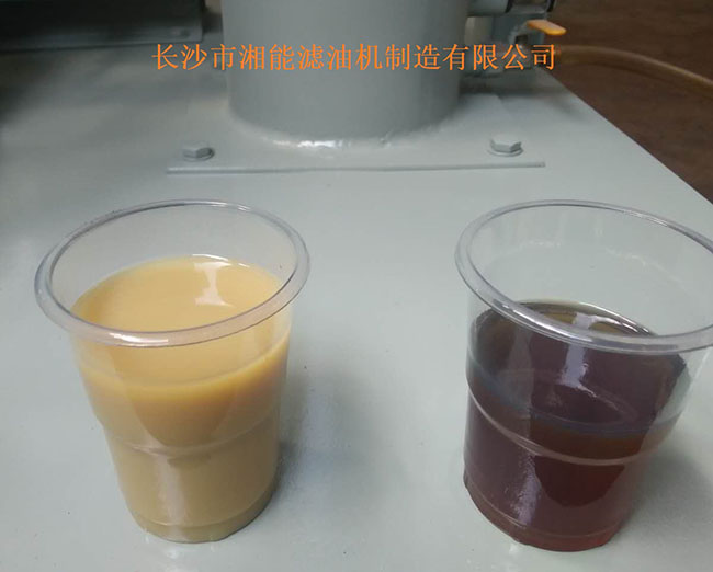 Xiangneng