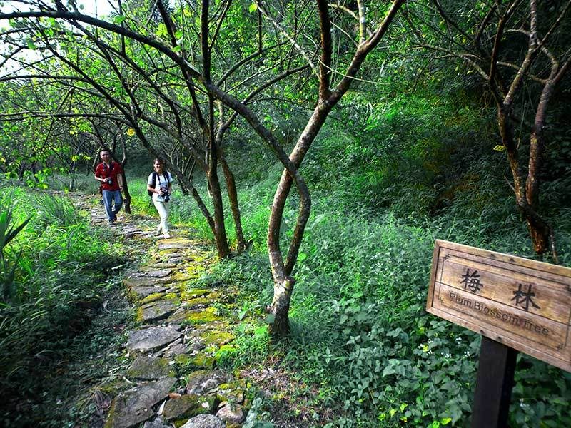 無憂谷探險(xiǎn)棧道
