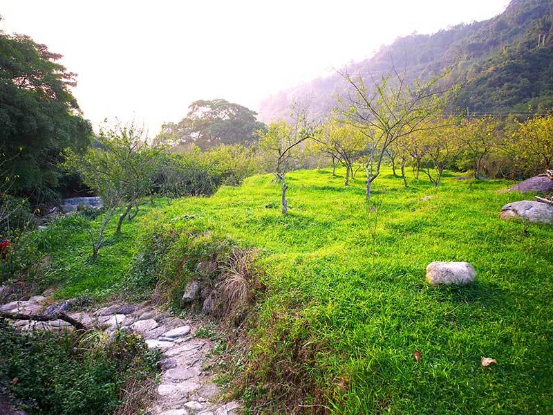 無憂谷探險(xiǎn)棧道