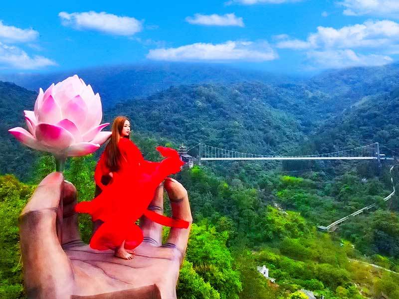 佛手沾花