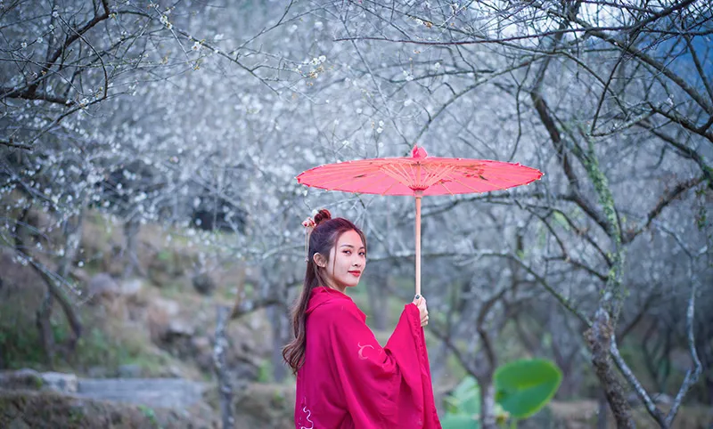 梅花節(jié)-12月-1月