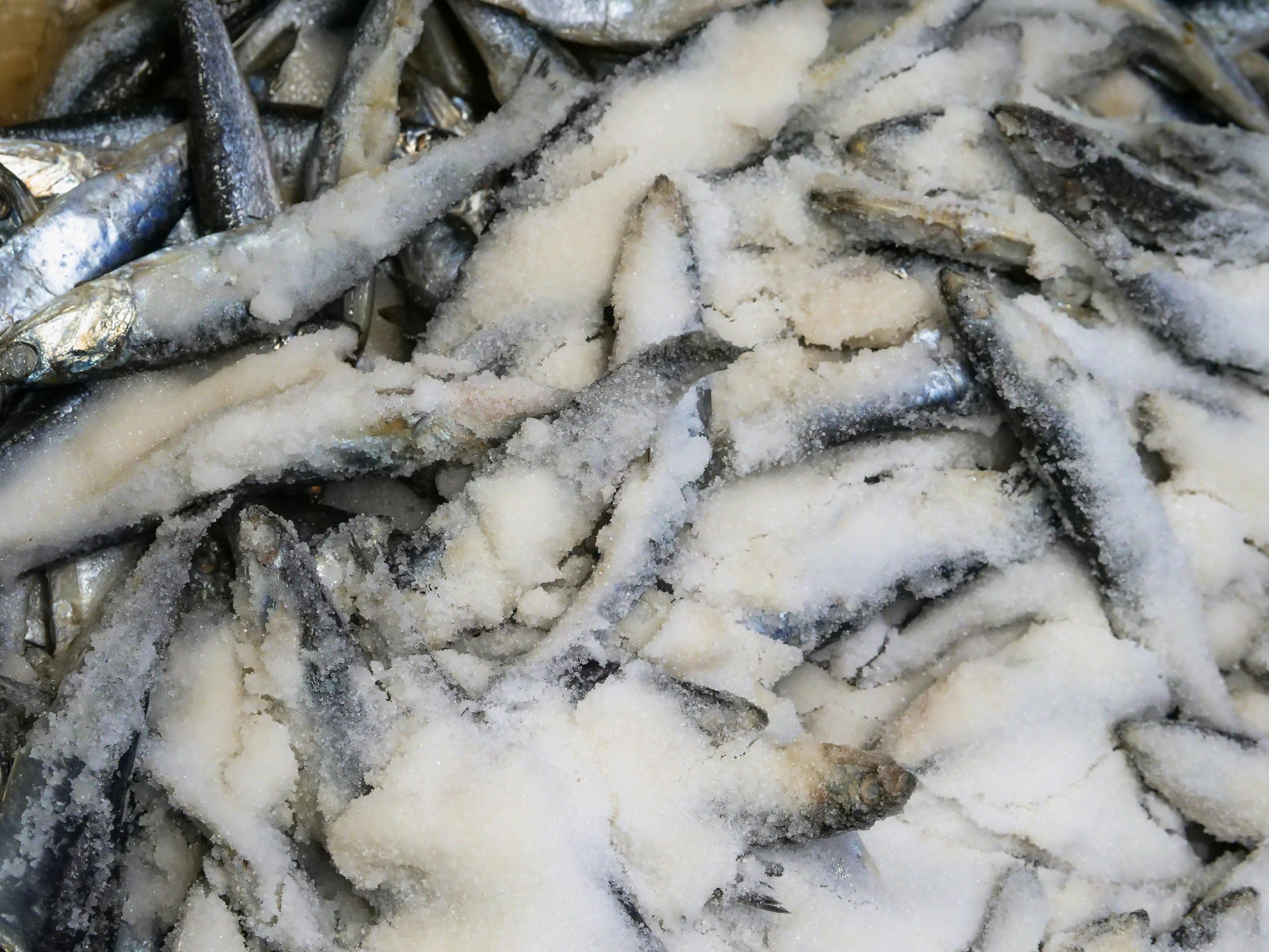 Cold Chain