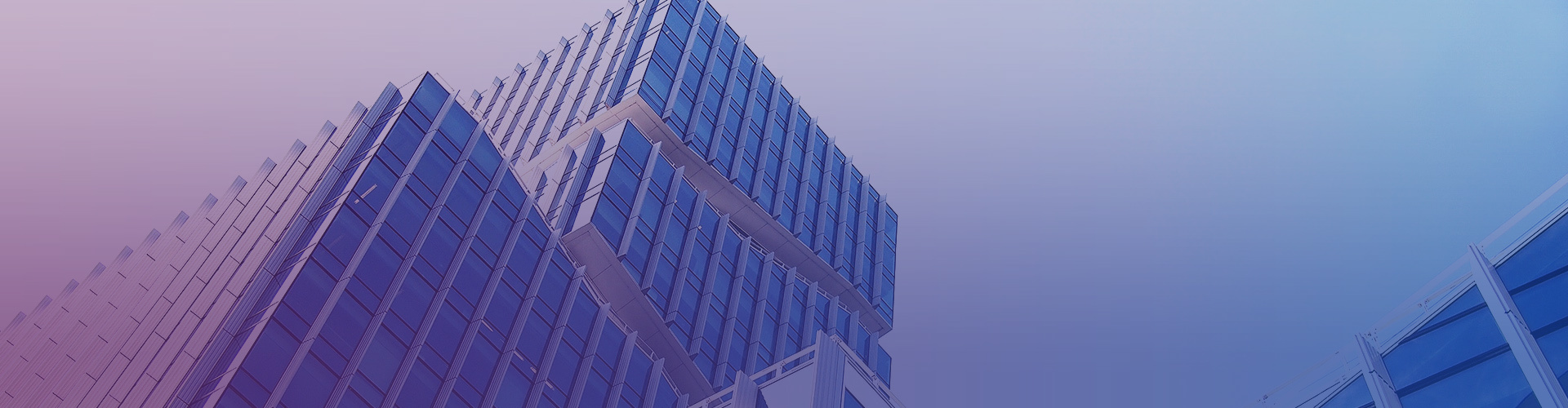 About the Company