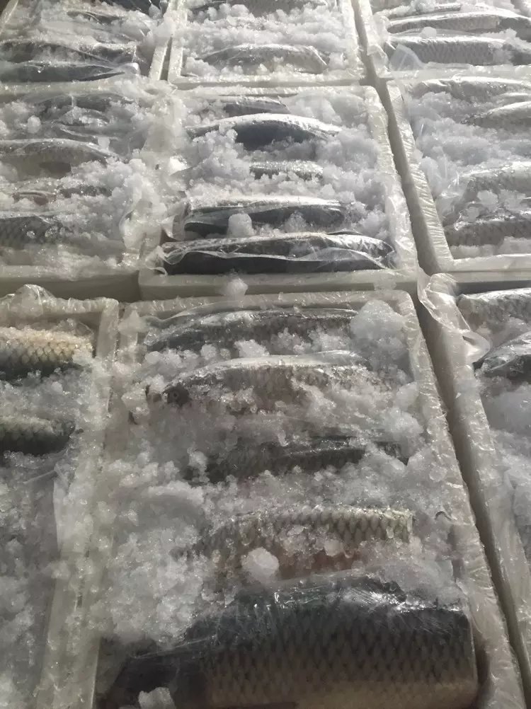 水产日常工作介绍