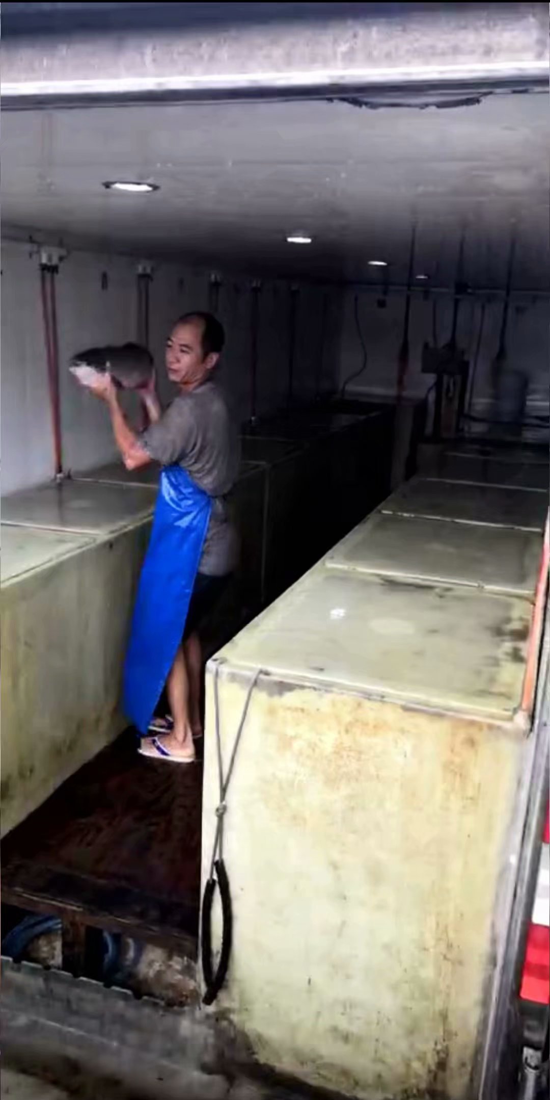 黄圃脆肉鲩养殖基地