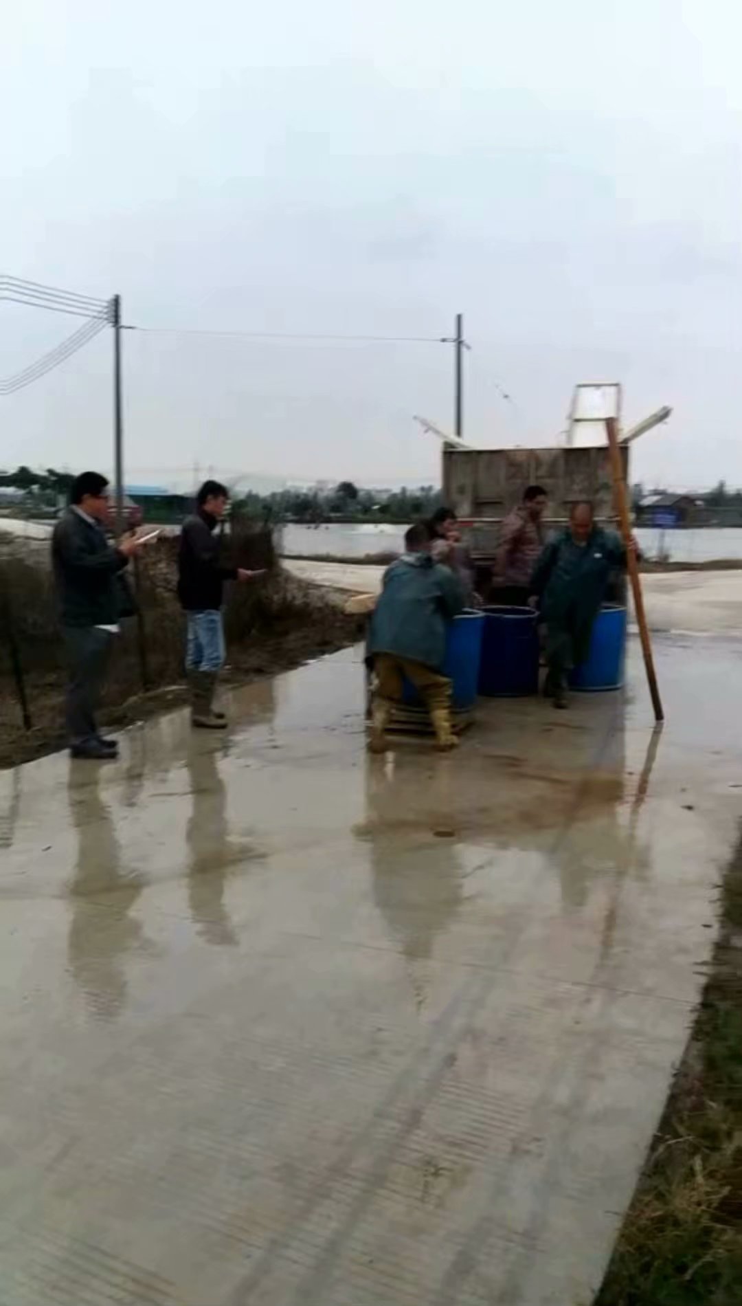 东升脆肉鲩养殖基地