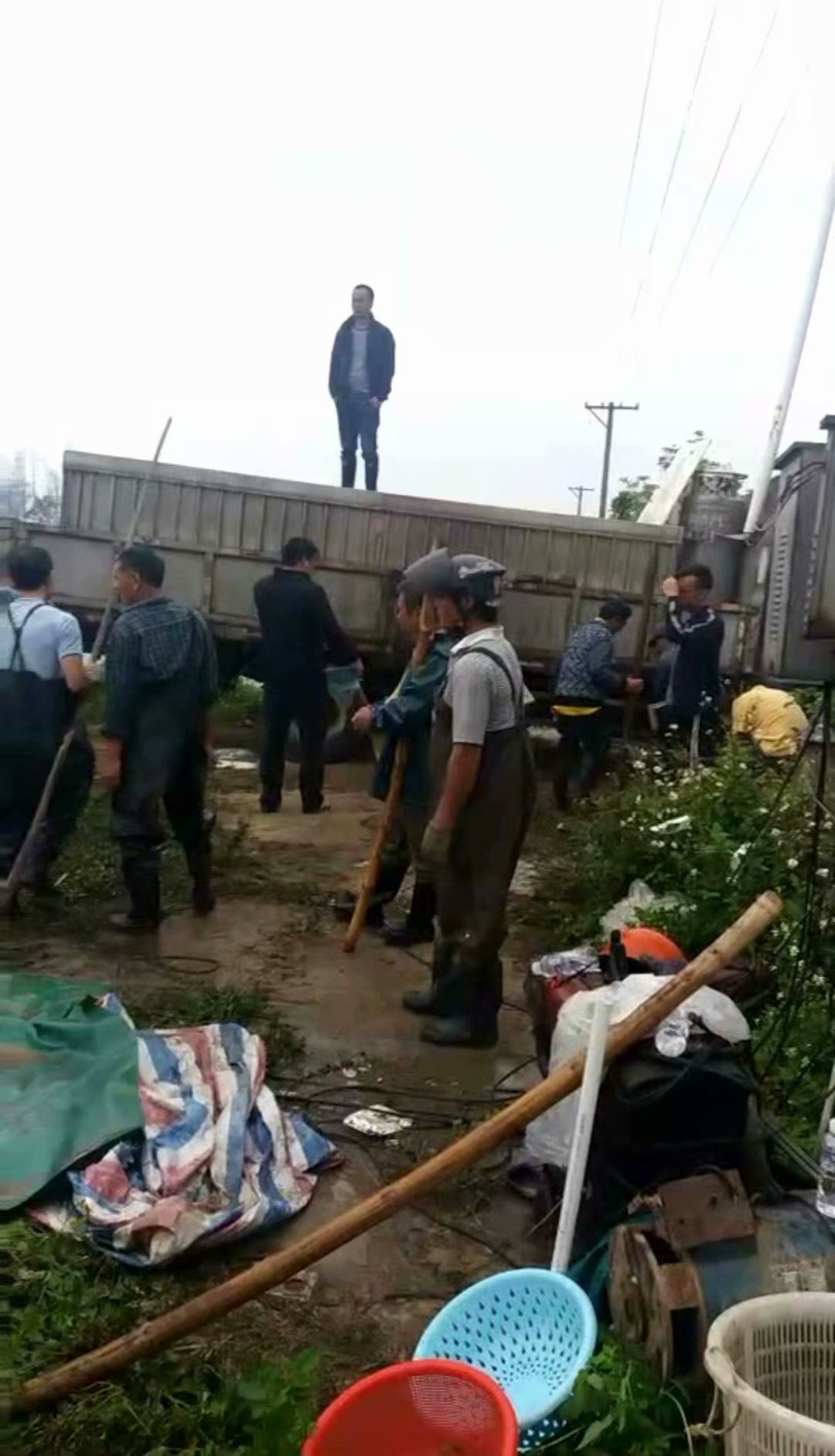 三角脆肉鲩养殖基地