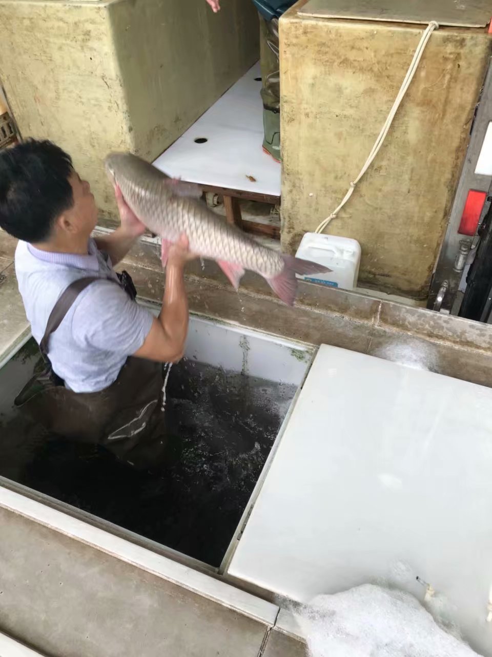 水产日常工作介绍