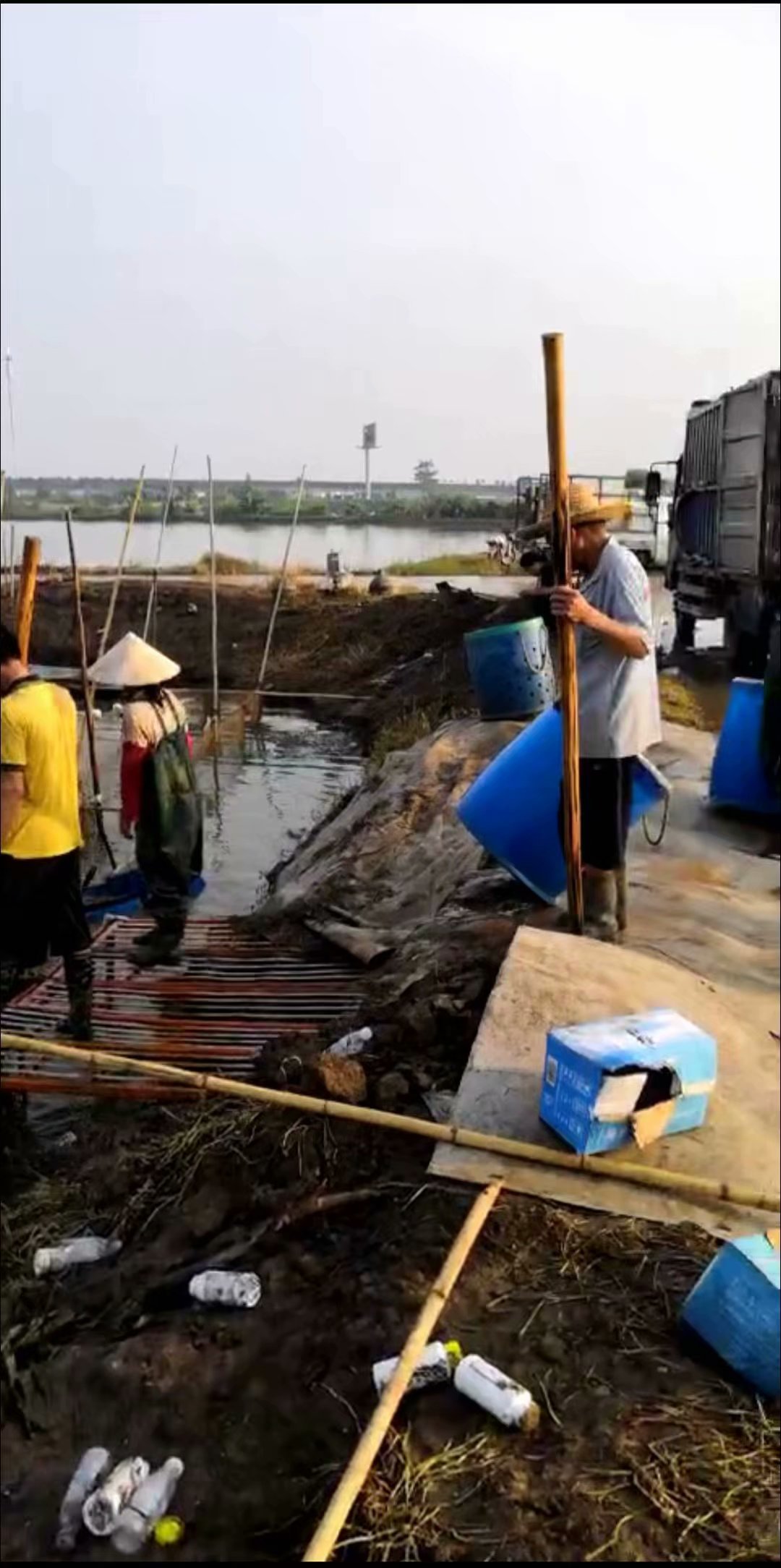 黄圃脆肉鲩养殖基地