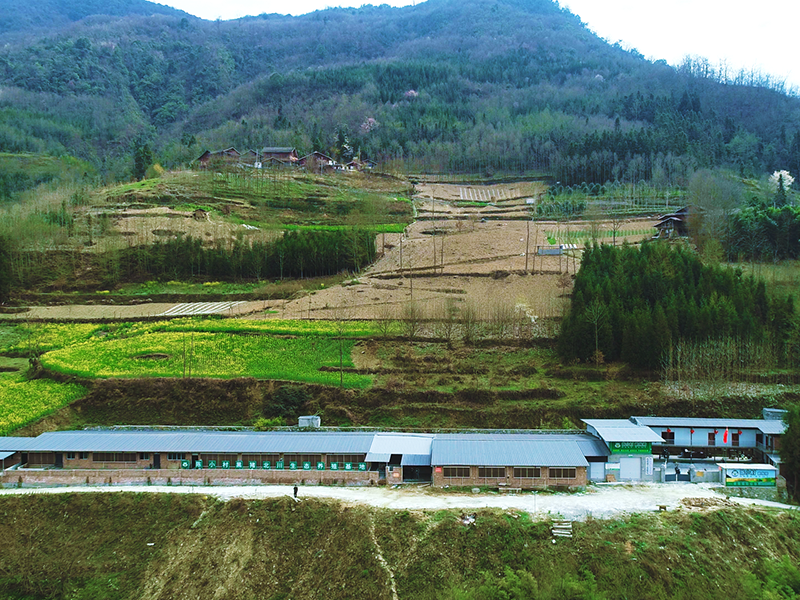 北川禹珍通坪生態(tài)黑豬繁育場(chǎng) 北川禹珍通坪生態(tài)黑豬繁育場(chǎng)