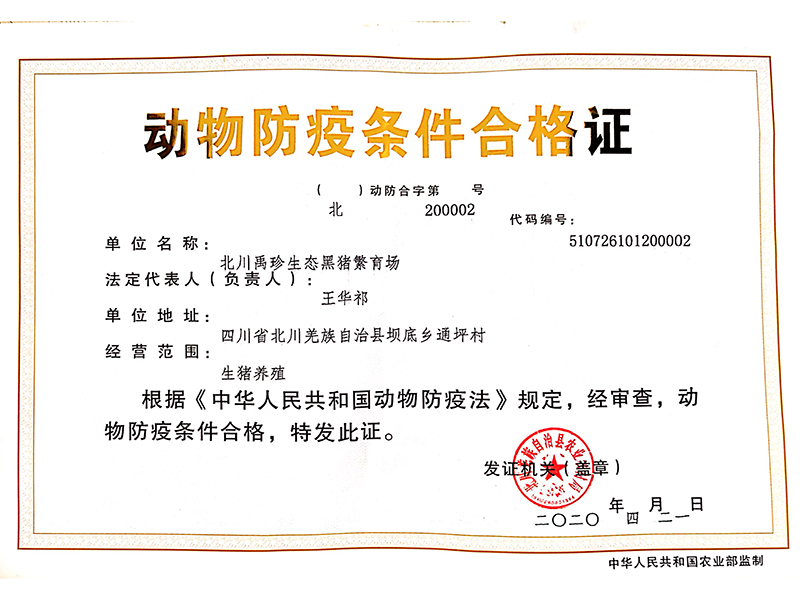 動(dòng)物防疫合格證正本 動(dòng)物防疫合格證正本