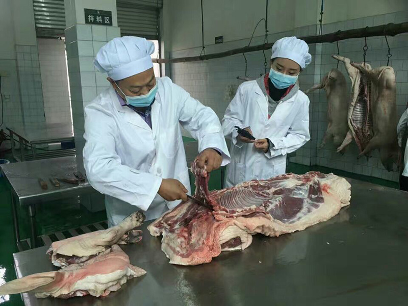 公司環(huán)境 公司環(huán)境