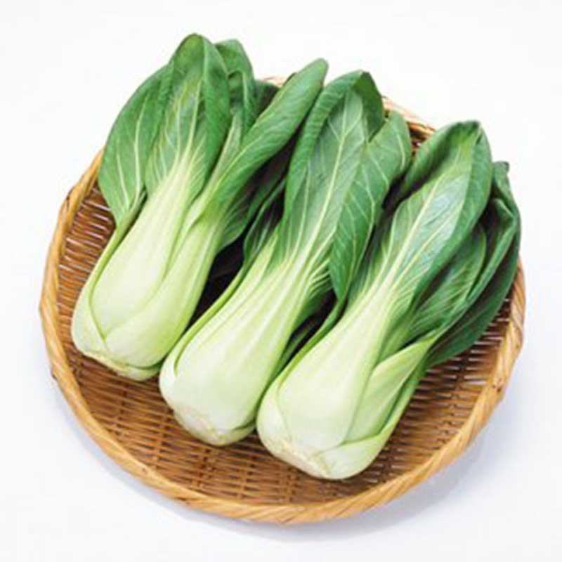 上海青