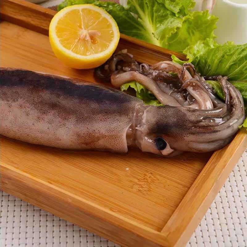 魷魚