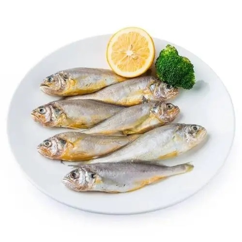 小黃魚