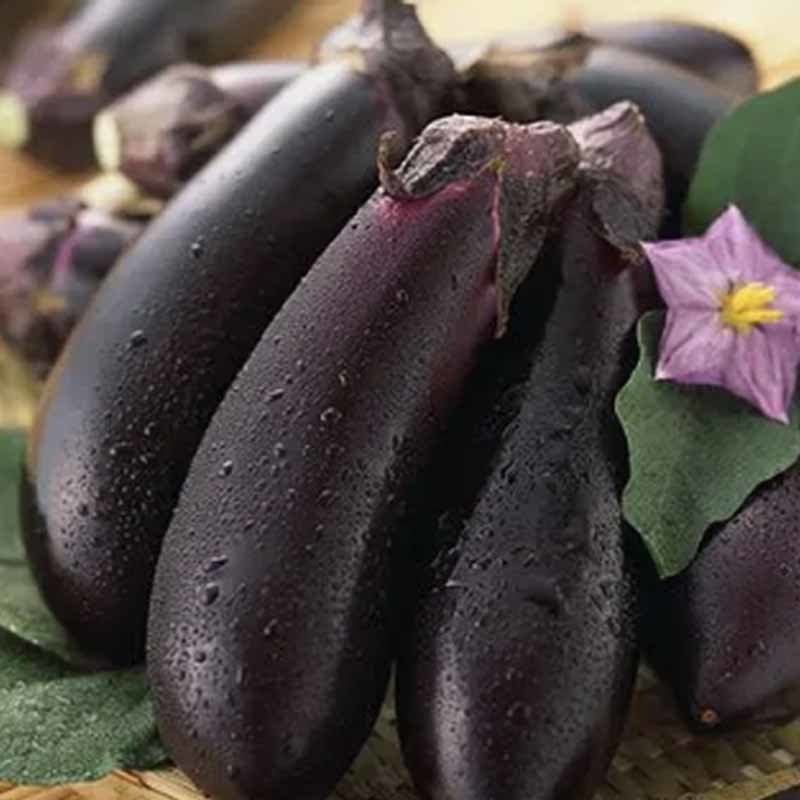 茄子