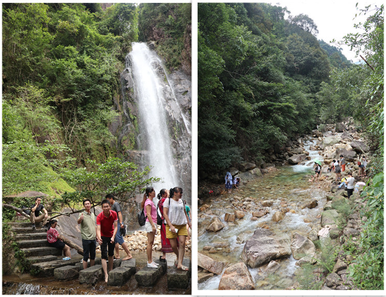 The 2019 Daku Group "Passionate Midsummer, Happy Hezhou Tour" group tour ended successfully