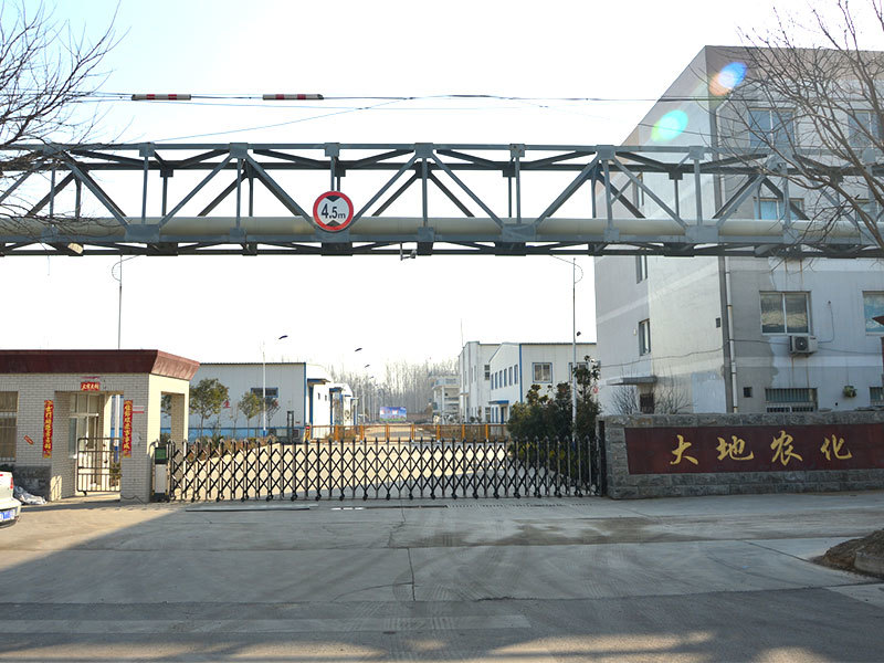 大门