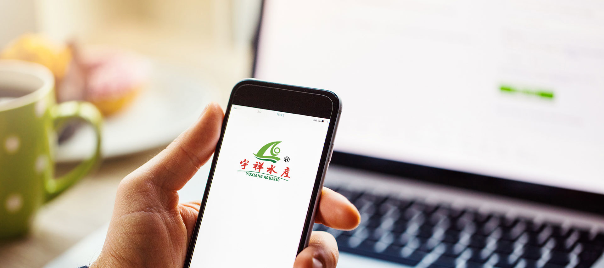 联系我们