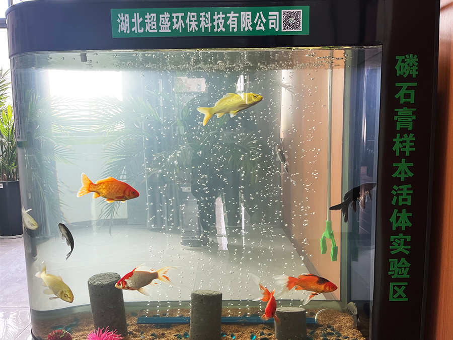 圖片名稱