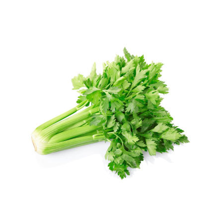 Celery