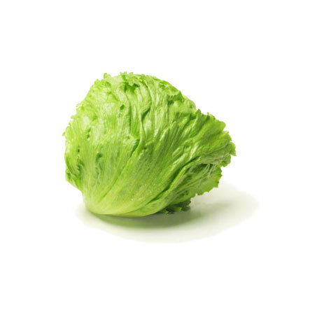 Lettuce