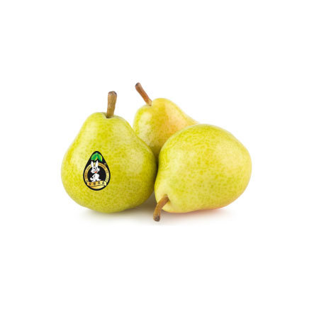 SHANDONG PEAR