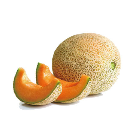 HAMI MELON