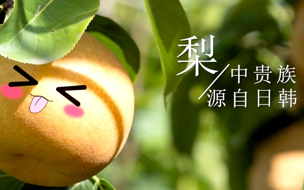 宏輝果蔬《梨》產品展示片