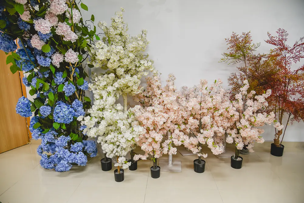 Showroom Sharing