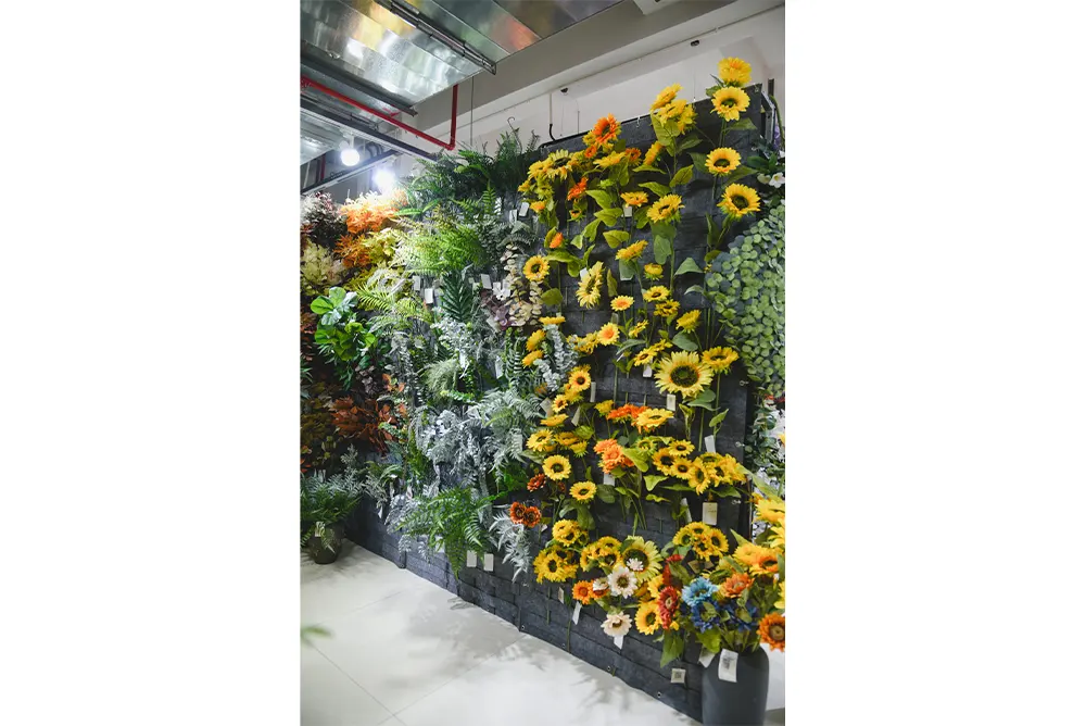 Showroom Sharing