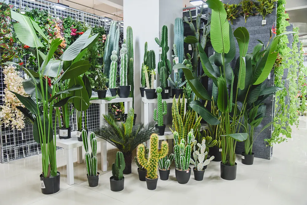 Showroom Sharing
