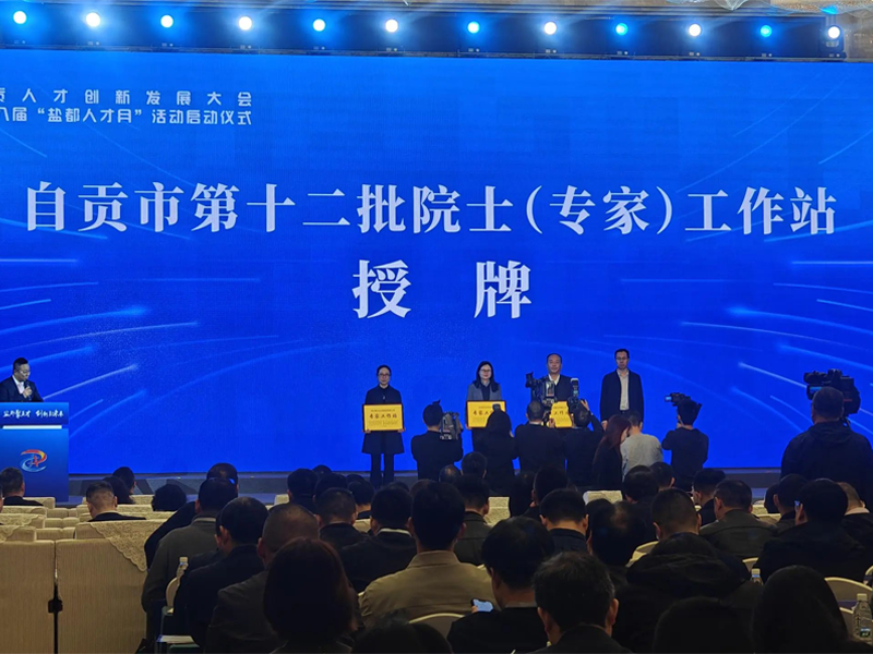惠科达仪表获“自贡市院士（专家）工作站”正式授牌，深耕研发再启新程！