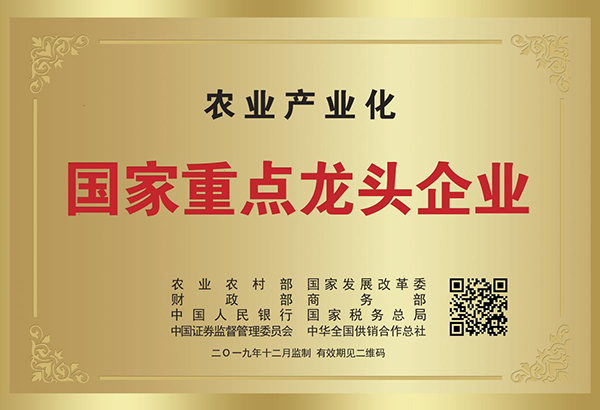 圖片名稱